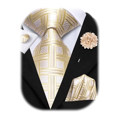 Hi-Tie Ties for Men Pocket Square Cufflinks Lapel Pin Mens Tie set Formal Wedding Business