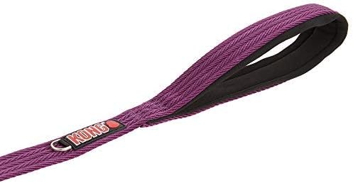 kong double handle leash