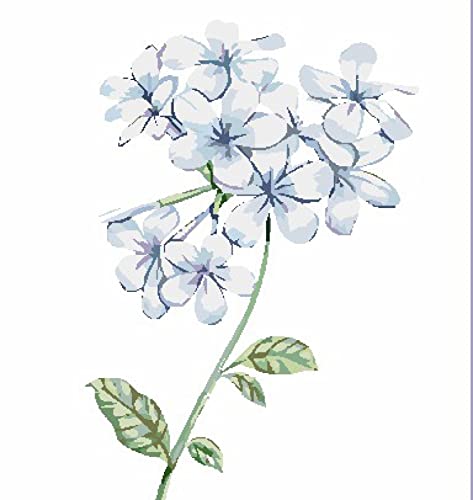 Broderie Point de Croix Fleurs pour une Déco Intérieure Cocooning