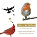 Anti-Collision Window Bird Stickers Decals, Glass Door Protect Bird Shape Clings for Save Bird Strikes (Black)