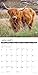 Willow Creek Press Calendars, Highland Cows 2025 Wall Calendar