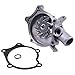 Svyoroo Water Pump 1232510 Compatible with Mitsubishi Engine 4G63 4G64 for Clark Forklift CGC20/25/30 CGP20/25 GCX20