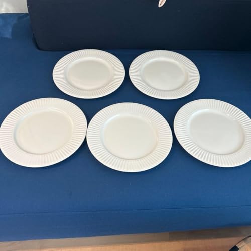 皿 サラダ ダンスク」の人気商品一覧 | 安い商品を通販サイトから探す