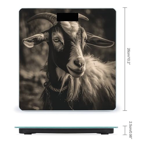 Báscula Digital de Baño Blanco y Negro de Vidrio Templado miniatura 2