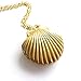 sameno 2018 fashion New Seashell Locket Pendant Gold Locket Gold Brass Sea Shell Necklace (Gold)