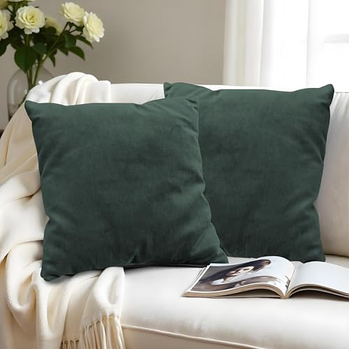 Image of R home Velvet Cushion Cover | Pack of 2 | for Sofa, Bed, Car, Living Room & Chair | Decorative Throw Reversible Cushion Covers (2, SEAWOOD Green, 18 X 18 INCH)