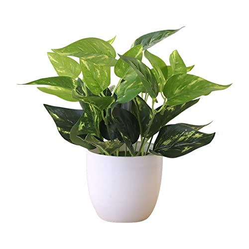 hV̓P[L tFCNAAlHA|bg΂̖~͂ƔEh|bgpItBXz[Lb`e[u a  v[g  (a-Green, One Size)