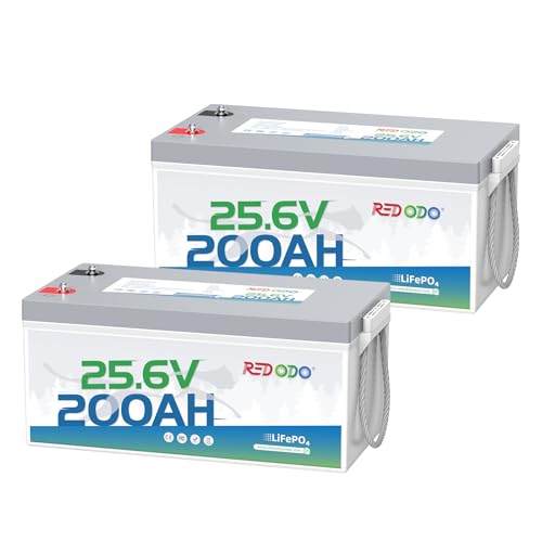 Redodo 24V 200Ah LiFePO4 Battery, 5120Wh, 200A BMS, 2 Pack