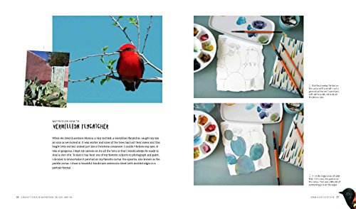 Geninne's Art: Birds In Watercolor, Collage, And Ink: A Field Guide To Art Techniques And Observing In The Wild : Zlatkis, Geninne D.: Amazon.co.uk: Books