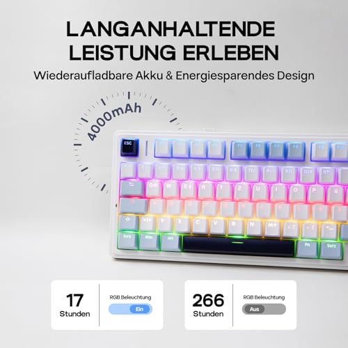 EPOMAKER x Aula F75-ISO Mechanische Tastatur Kabellos, Hot Swap Gaming-Tastatur 75% Prozent, Deutsches Layout QWERTZ, BT/Wireless/USB-C, Knopf& RGB (Light Blue, LEOBOG Reaper Schalter) 5