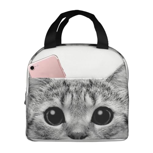 `obN L ۗ ٓobO  RpNg ^ѕ֗ p肳obO ~jg[gobO ʋ ʍZ s