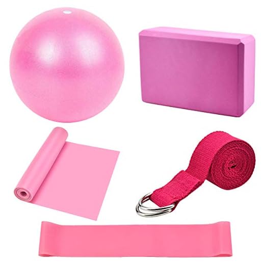 Dokpav Kit de Accesorios para Pilates Set de 5 Bandas Elásticas Fitness,Goma elasticas Musculacion,Bloque de Yoga,Pequeña Pelota de Pilates,Bandas de Resistencia para Yoga,Pilates,Fitness (Rosa)