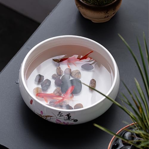 Grand récipient hydroponique pour plantes grasses et plantes de lotus – Glaçage non poreux idéal pour l'intérieur – Jardinière d'eau et bol à bonsaï avec graines de lotus – Parfait pour la décoration