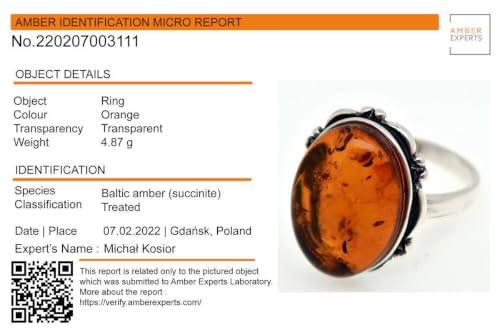 Holiday Gift Shops Bague Adulte en Argent Sterling et Miel de la Baltique Ovale en Ambre - Taille 66.25 – vue 5