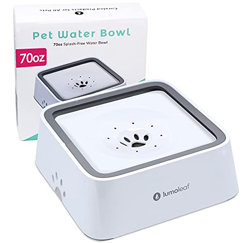 49 Best dog water bowls for sloppy drinkers 2022 After 175 hours of