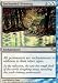 Magic: the Gathering - Enchanted Evening - Shadowmoor