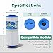 TOREAD 6CH-960 Spa Filter Replaces Jacuzzi Filters J-300, J400, PJW60TL-F2S, 14081, 6000-383A, Unicel 6CH-960, Filbur FC-2800, 6540-383, Hot Tub Filter with Closed Handle 2 Pack (Not be Removed)
