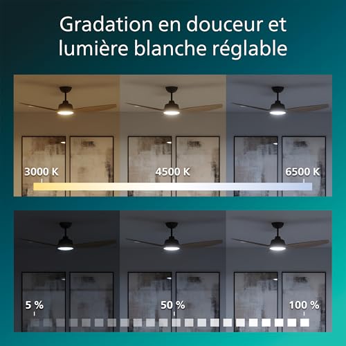 Ventilateur de plafond Philips Olas Pales fixes Diamètre 132 cm Bois LED intégrée + télécommande - vue 9