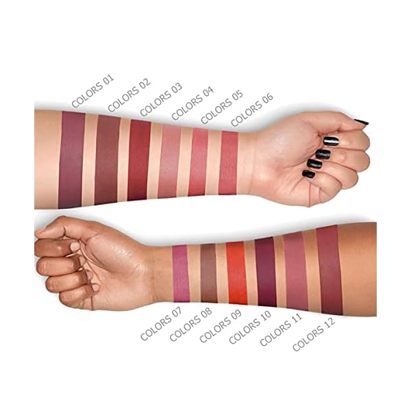 Matte Liquid Lipstick set Waterproof Long Lasting Non-Stick Cup Liquid Lipgloss Velvety Liquid Lipstick Kiss-proof Durable Nude Lip Gloss (12PCS)