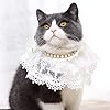 Cat Wedding Costume,Princess Cat Wedding Dres...