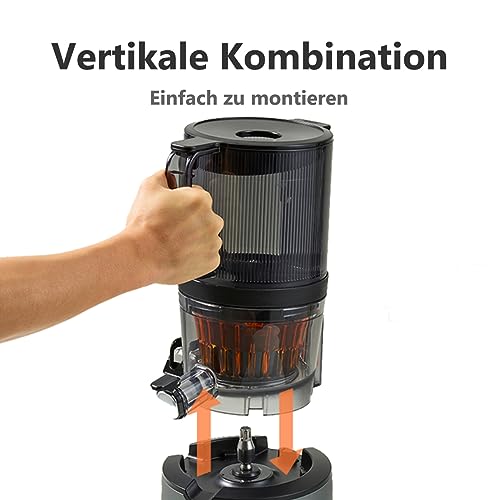Hurom Entsafter H201 Slow Juicer für Obst und Gemüse Kaltpresssystem
