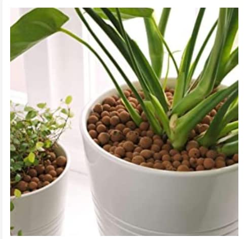 Pots & Plants 200gm Clay Balls, Hydrotons, Lightweight Expanded Clay Aggregate (LECA) Essential for Hydroponics, Aeroponics & Aquaponics (B09VH44LYF) Amazon Price History, Amazon Price Tracker