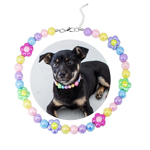 SM4BED Lփp[lbNXAJtȌ̂r[Yƈ炵ԁA߉\ȎqWG[A^^ybgpAL 14C`