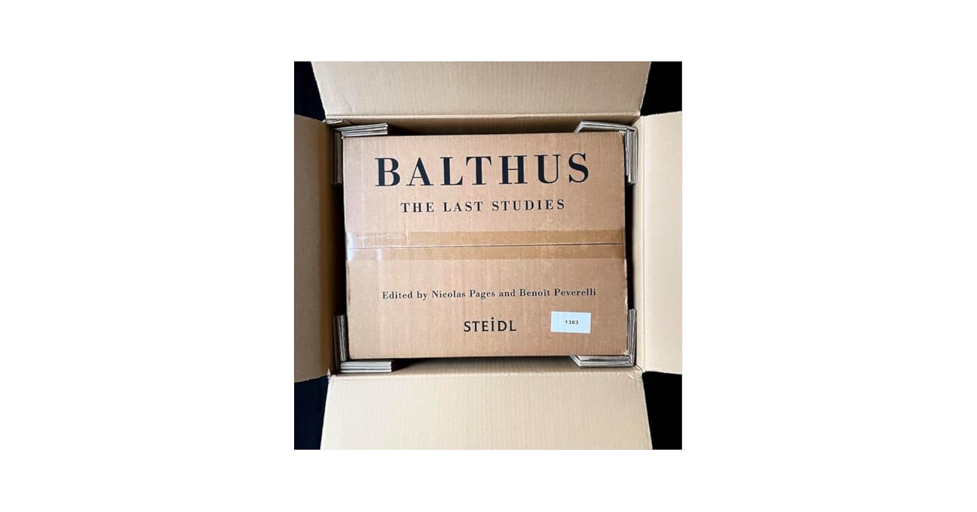 Balthus バルテュス The Last Studies 希少 限定本 画集 Amazon.co.jp: Balthus バルテュス The Last Studies 希少本