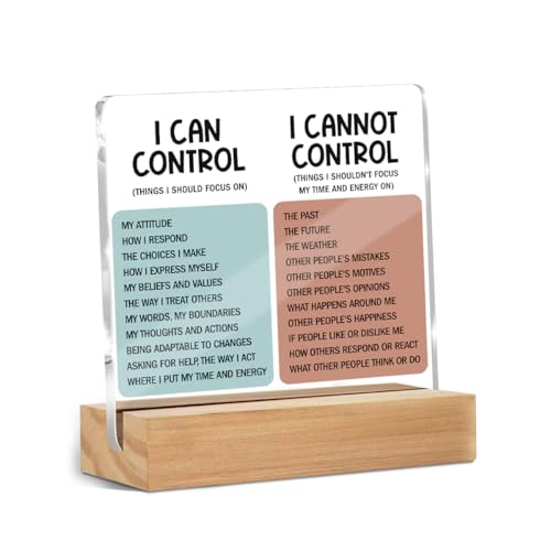 Mental Health Desk Decor Things I Can Control Acrylic Sign,