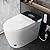 TDH Tankless Smart Toilet, Heated Bidet with Warm Water Sprayer & Dryer, Walk Away Auto Flush and Close,One Piece Bidet Toilet for Bathrooms with Remote Control