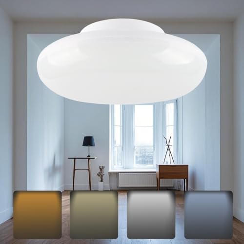 薄型 LED シーリングライト 小型 100W相当 ミニシーリングライト 10W 6畳 2000lm LEDライト ミニ おしゃれ 引掛式 シーリングランプ 玄関 廊下 和室 洋室 台所 洗面所 照明 天井 洗面所 玄関 門灯 廊下 工事不要 丸型 おしゃ