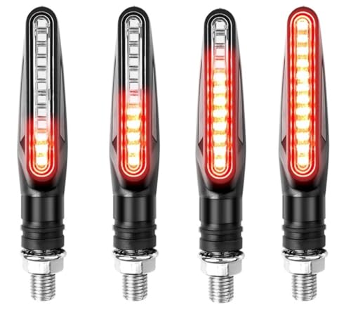 Luces intermitentes de motocicleta 12V con efecto de agua corriente secuencial