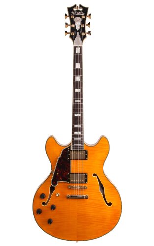 D'Angelico EXD CSP06 Semi-Hollow-Body Electric Guitar, Left Handed, Natural