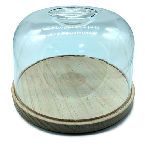Acan Tradineur - Quesera Redonda con Tapa de Metacrilato - Base Fabricado en Madera - Ideal para Guardar el Queso, Embutidos u Otros Alimentos - Ø 22 x 13 cm
