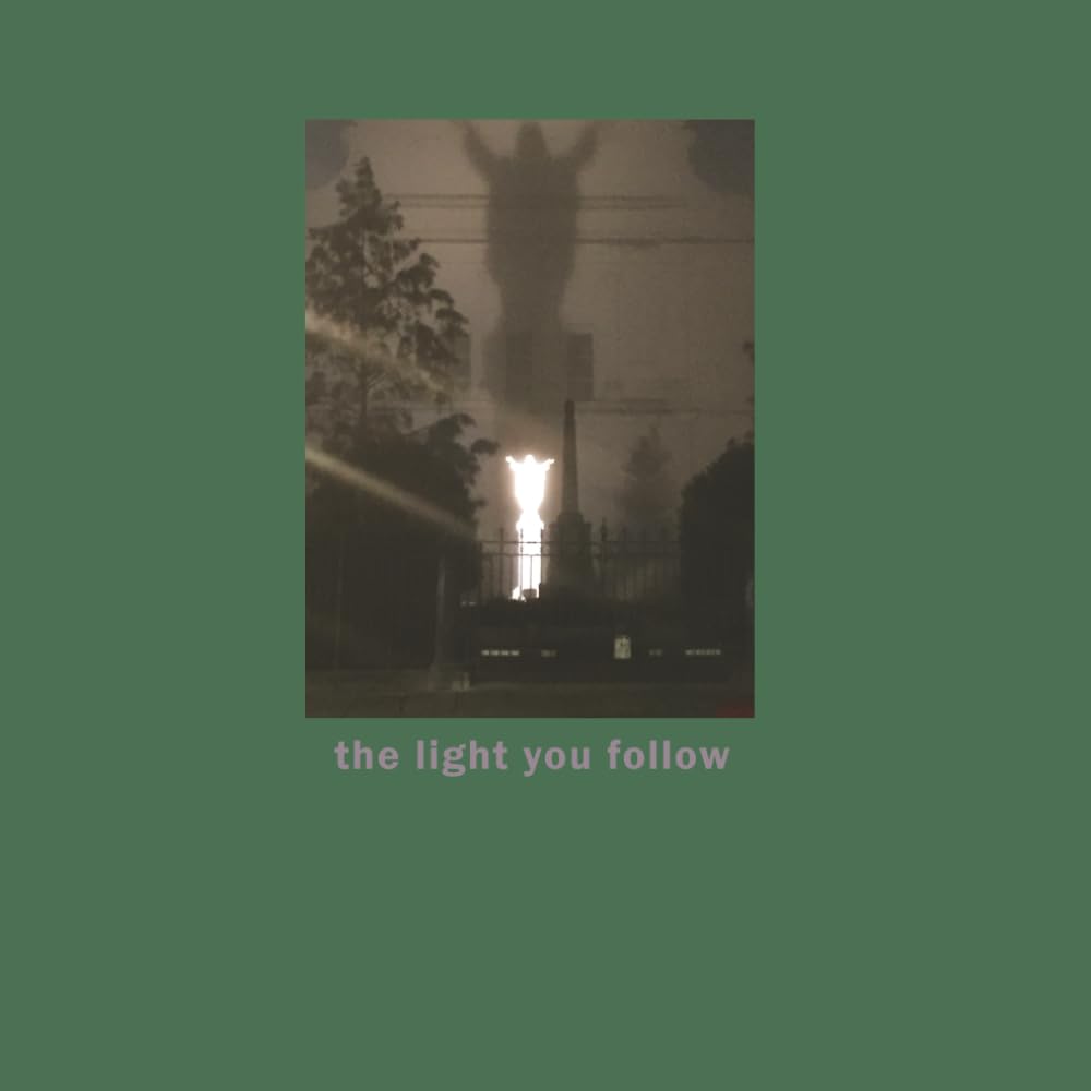 the light you follow