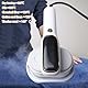 GBKDQQ Steamer Dampfglätter, 1000W Reise Dampfglätter, 2-in-1 Reisebügeleisen Mini(100-240V), Tragbare Hand-Dampfbügeleisen mit 100 ml Wassertank 5 Dampfstufen Bügeleisen Dampf für Reisen Zuhause