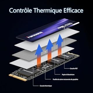 fanxiang S880 SSD 1To NVMe SSD M.2 2280 PCIe 4.0 Gen4x4 Disque SSD Interne 1 to, Jusqu'à 7300 Mo/s en Lecture, Compatible avec PS5 PC Gaming Ordinateurs de Bureau et Portables
