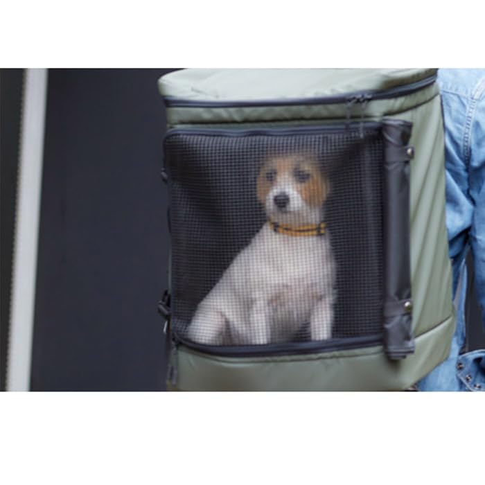 Amazon.co.jp: 【LIFELIKE公式】2WAYボックスキャリー 犬 バックパック