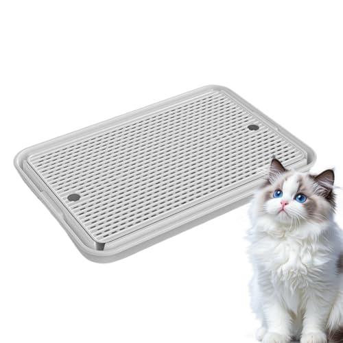 LgCXebv,|@\tLpKi - E\ ~ VjALp  O rO oRj[ LsOJ[ Ap[g u