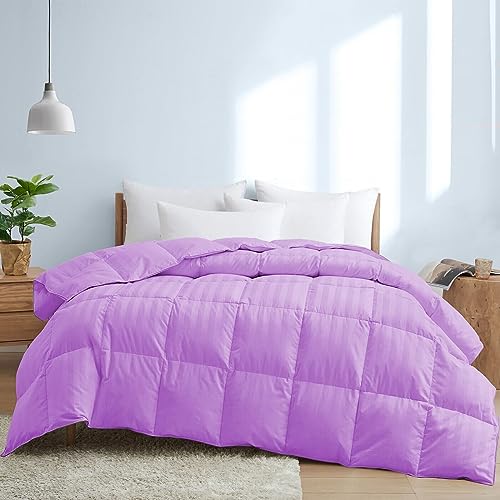 AHJ Beddings Premium 1000 Thread Count Twin-XL Size 1 Piece Comforter (500GSM Fiber Fill) Lilac Stripe 100% Egyptian Cotton, (68