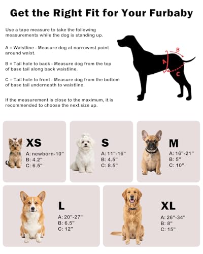 Image of CuteBone Dog Diapers Female Washable Small Medium Large 3 Pack Reusable Doggie Diapers Puppy Period Pants for Doggy Heat Cycle Peeing
