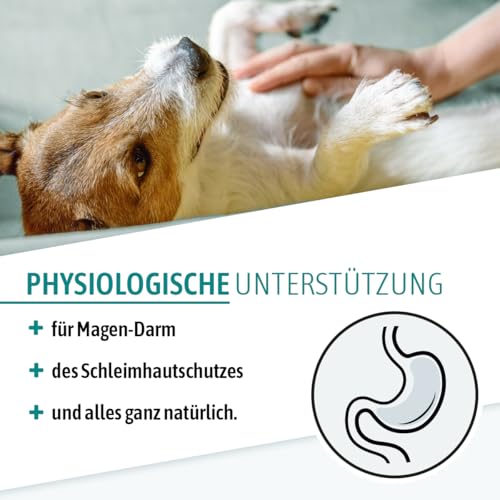 AniGo Ulmenrinde Extra – ohne Aufkochen für Hunde & Katzen – bei Neigung zu Durchfall – unterstützt den natürlichen Schutzfilm im Magen-Darm I Stark schleimend & naturrein I Slippery Elm Bark