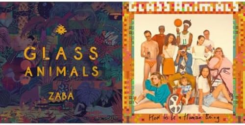 Zaba & How To Be A Human Being Record Set by Glass Animals — album cover
