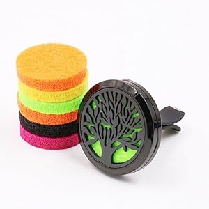 Essentiële aromatherapie-oliediffuser, roestvrij staal, luchtverfrisser, clipslot met 5 vervangende viltpads