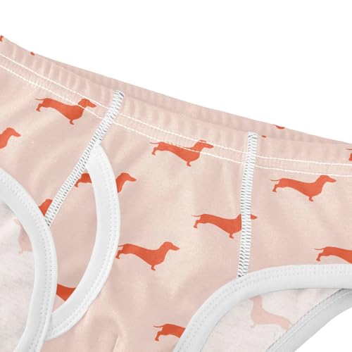 Cotton Little Boys Briefs Dachshund Soft Toddler Underwear4