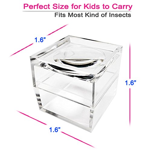 Magnipros Pack Of 3 Magnifier Box Bug Viewer Magnifies Up To 5X(500%) With Crystal Clear Image #TOP1