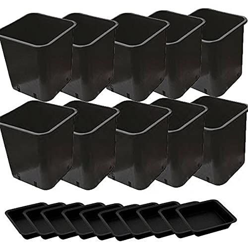 Idroponica Vaso quadro 11L + Sottovaso - 22x22x26cm