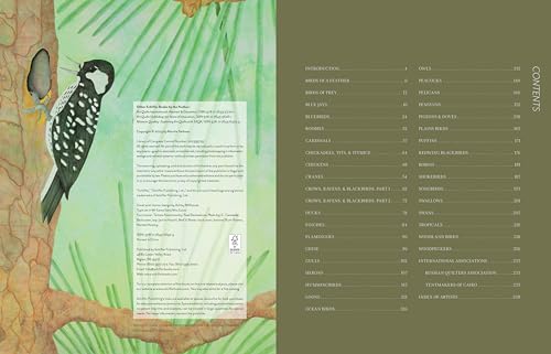 Stitched Journeys with Birds: Inspiration to Let Your Creativity Take Flight - Thumbnail 2
