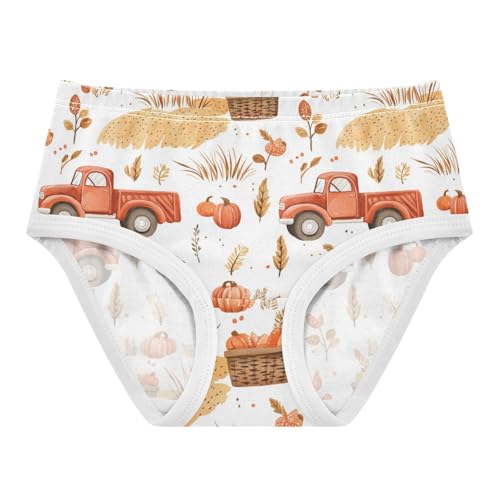 ZZKKO Farm Truck Crops Farmhouse Girls Underwear Toddler Panties for Girls Comfort Brief Size 2-8T