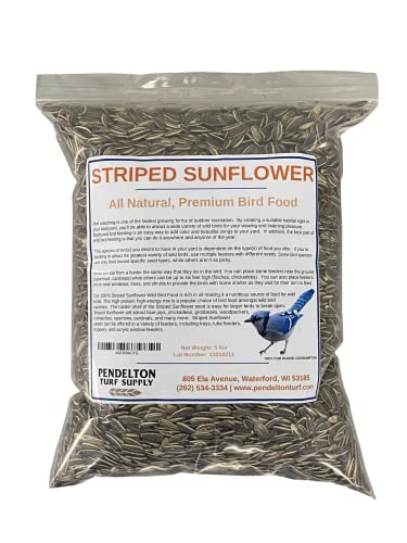 Pendelton Turf Supply Striped Sunflower | All-Natural Premium Bird Food (5 lb Resealable Bag)